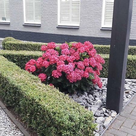 Sfeervolle 2 Persoons Studio In Bakkeveen Экстерьер фото